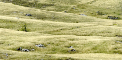 ../library/userfiles/_thumbs/20250430_desertification_France_400x197px.png